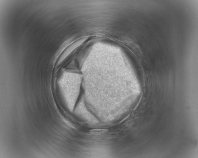 X0000063530051200602172254