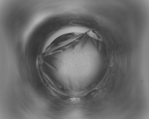 X0000063530052200602172254