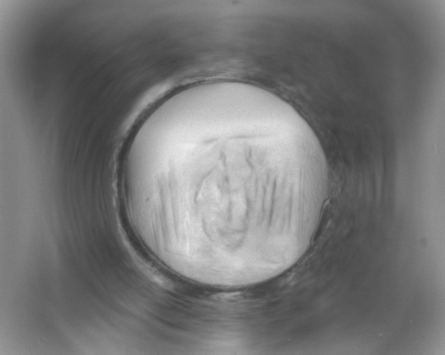 X0000063530054200602172254