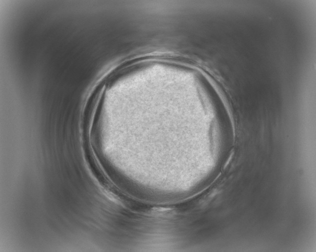 X0000063530055200602172254