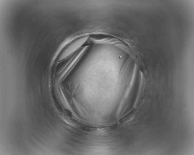 X0000063530056200602172254