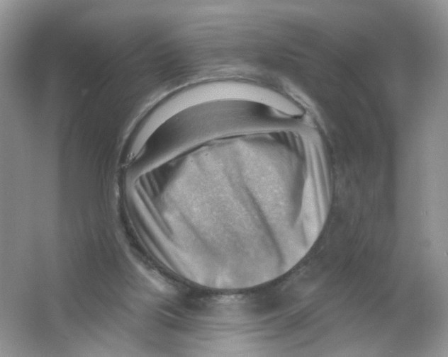 X0000063530059200602172254