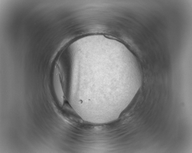 X0000063530060200602172254