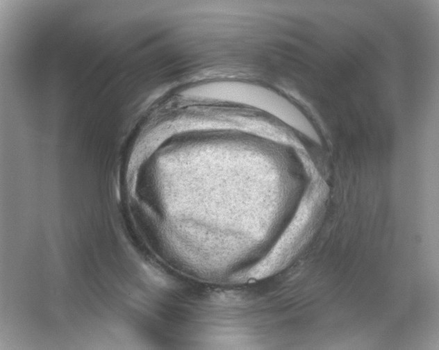 X0000063530062200602172254