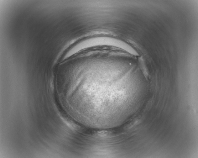 X0000063530064200602172254