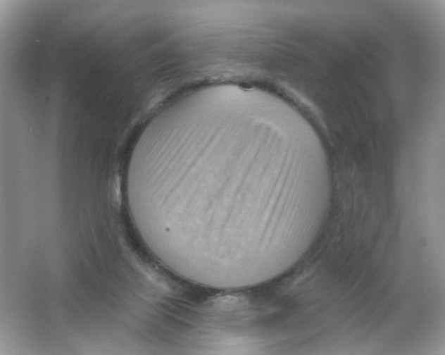 X0000063530067200602172254