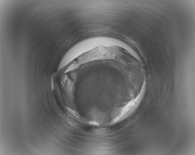 X0000063530069200602172254