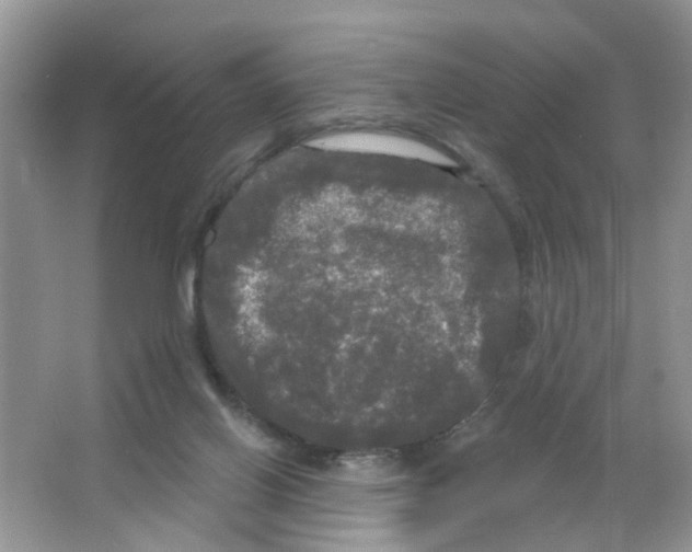 X0000063530070200602172254