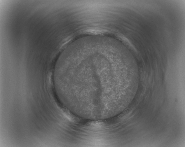 X0000063530071200602172254