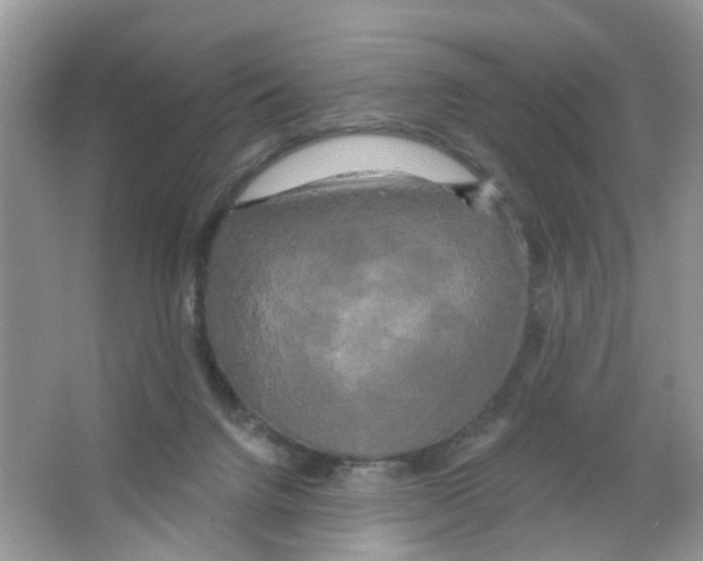 X0000063530072200602172254