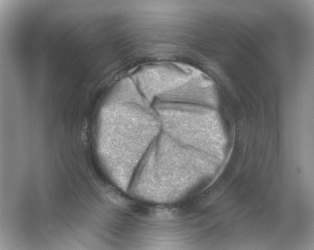 X0000063530073200602172254