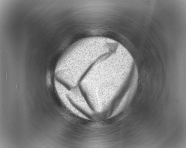 X0000063530075200602172254