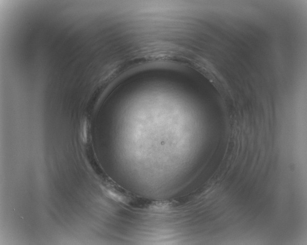 X0000063530076200602172254