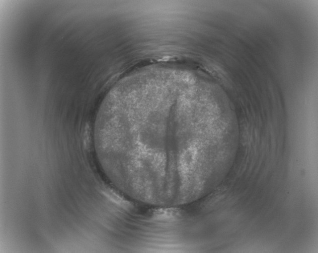 X0000063530077200602172254