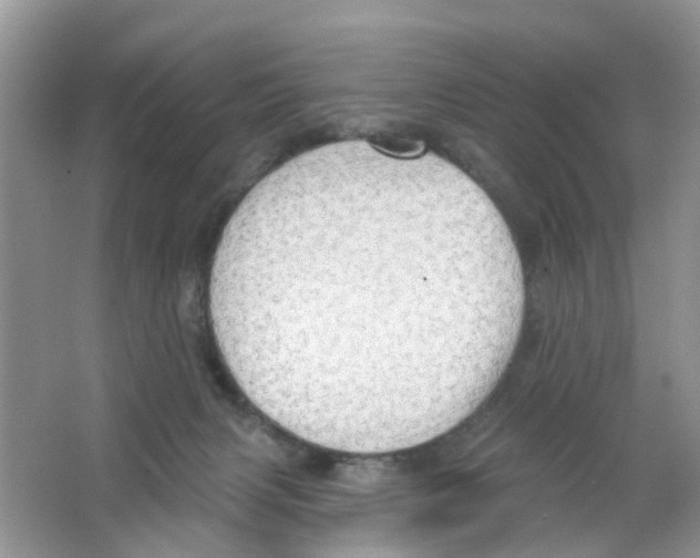 X0000063530079200602172254