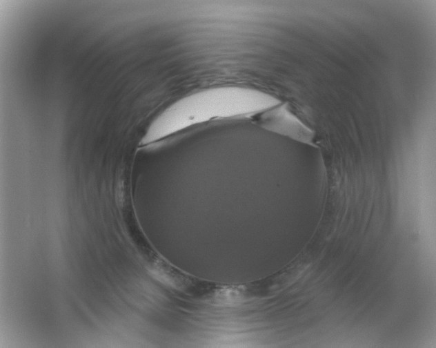 X0000063530080200602172254