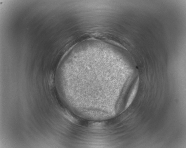 X0000063530081200602172254