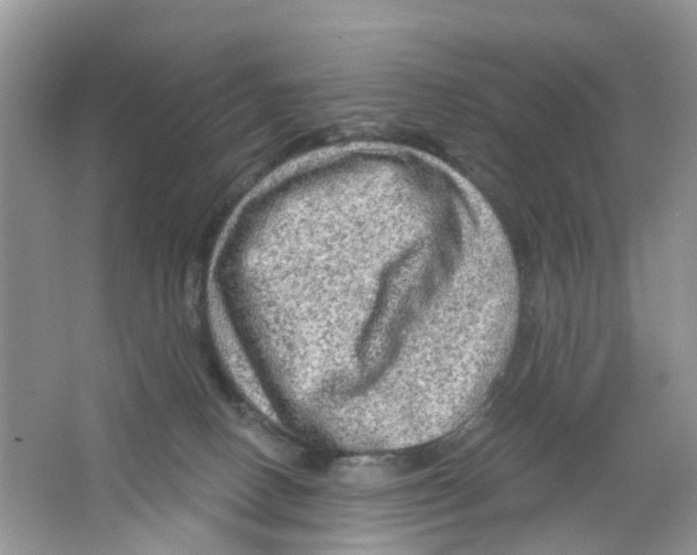 X0000063530082200602172254