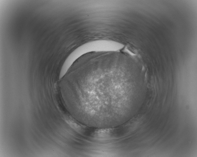 X0000063530084200602172254