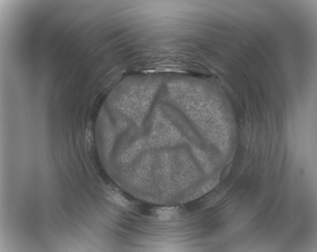 X0000063530085200602172254