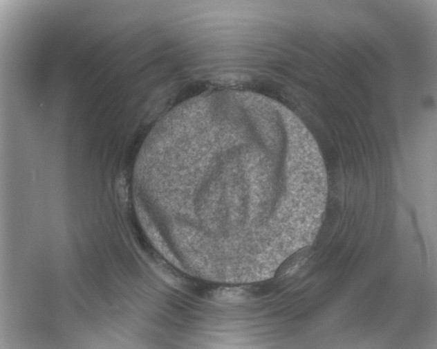 X0000063530086200602172254