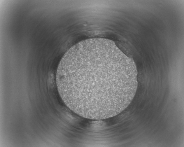 X0000063530087200602172254