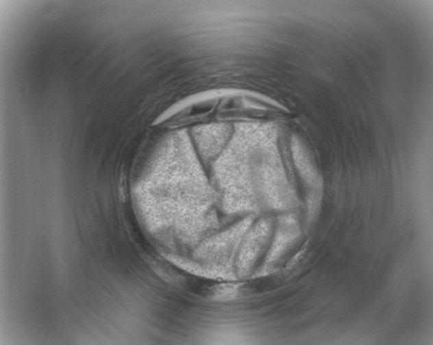 X0000063530090200602172254