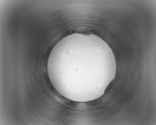 X0000063530091200602172254