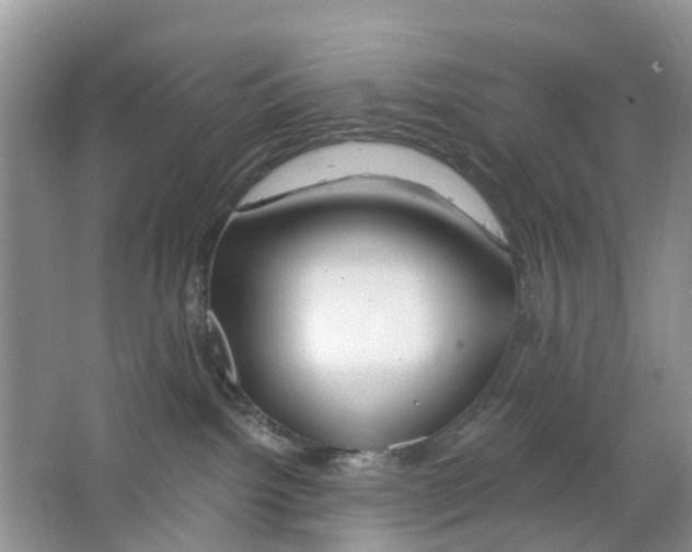 X0000063530092200602172254