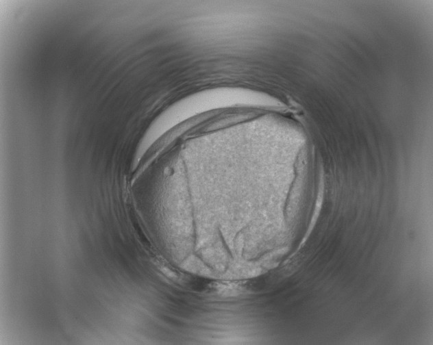 X0000063530093200602172255