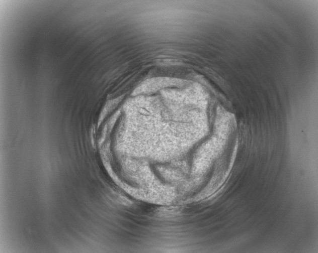 X0000063530094200602172255