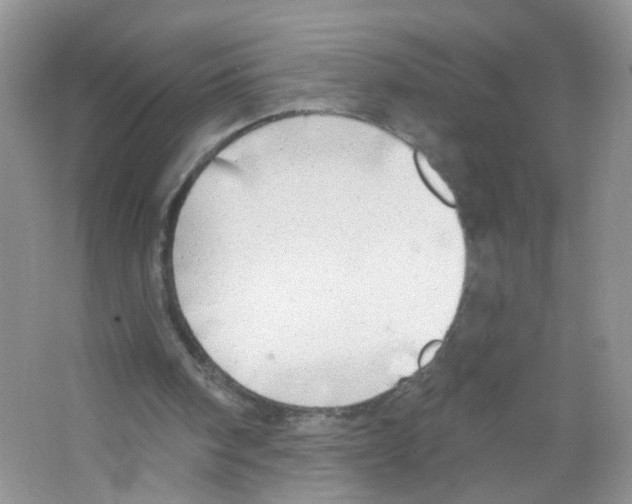 X0000063530098200602172254