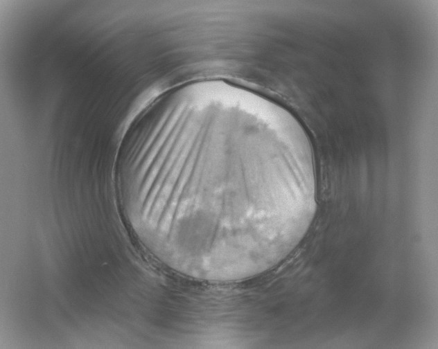 X0000063530099200602172254