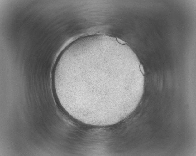 X0000063530100200602172254