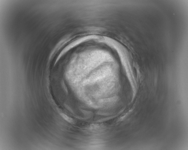 X0000063530101200602172254