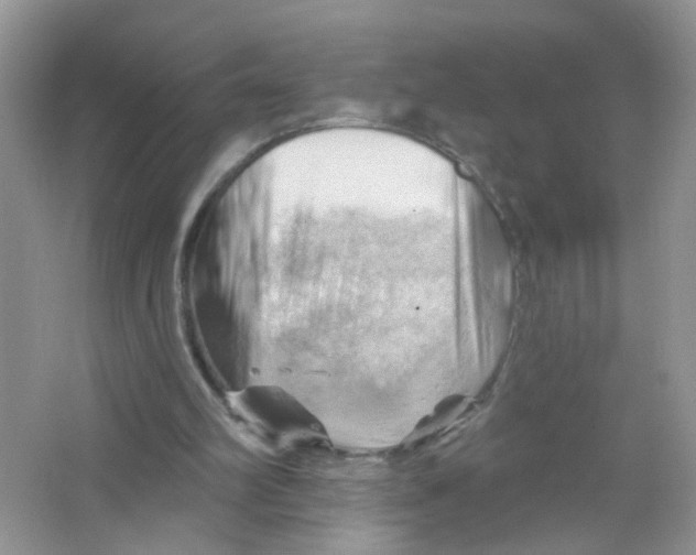 X0000063530102200602172254