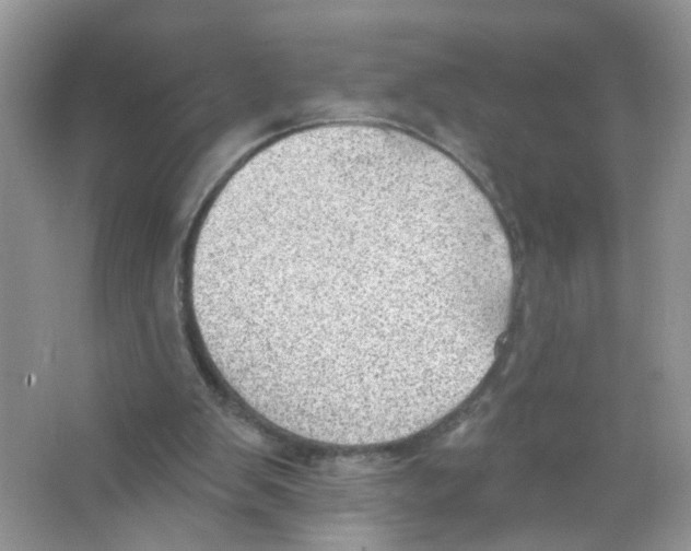 X0000063530103200602172254