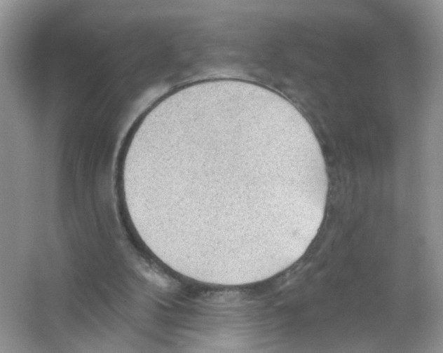 X0000063530104200602172254