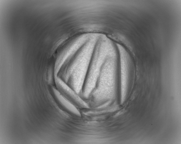 X0000063530105200602172254