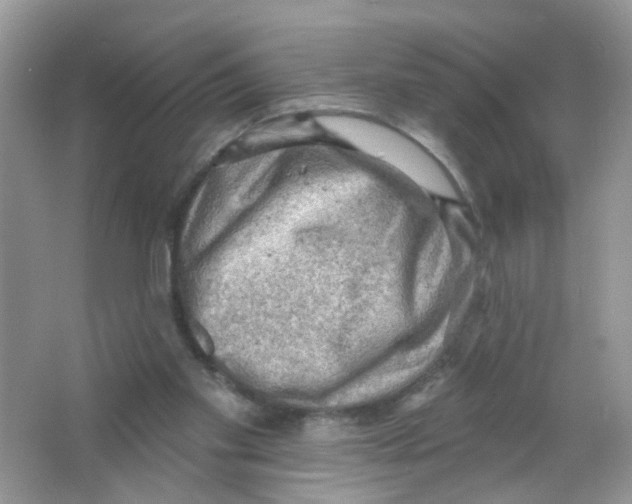 X0000063530109200602172254