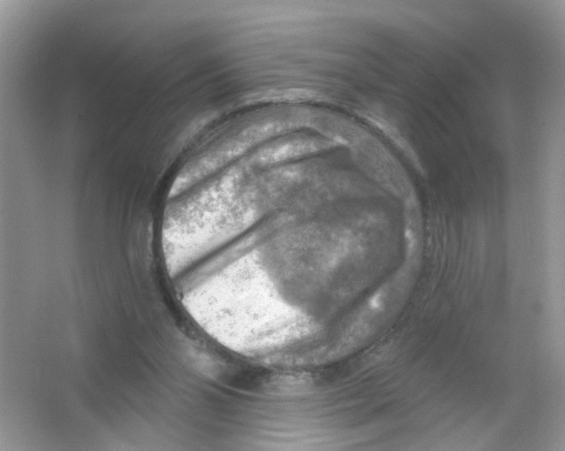 X0000063530110200602172253