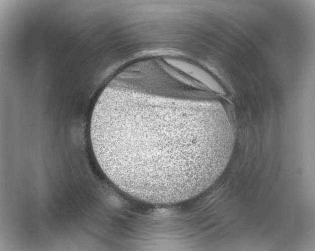 X0000063530111200602172253