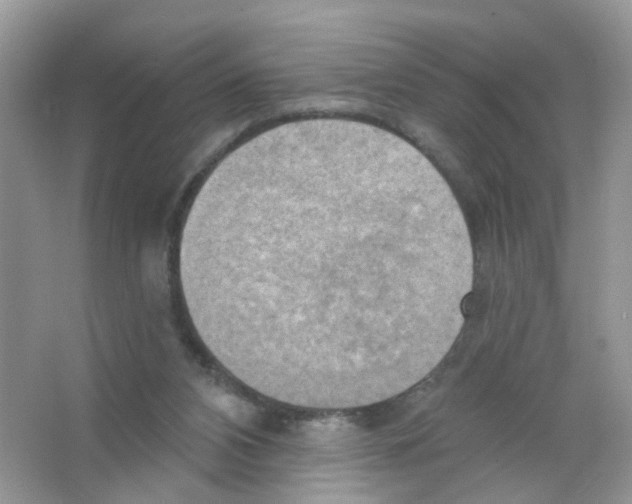 X0000063530112200602172253