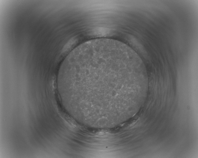 X0000063530119200602172253