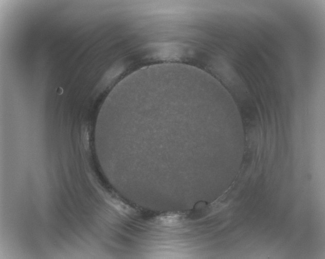 X0000063530120200602172253