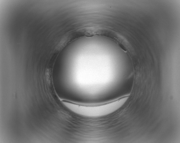 X0000063530121200602172253