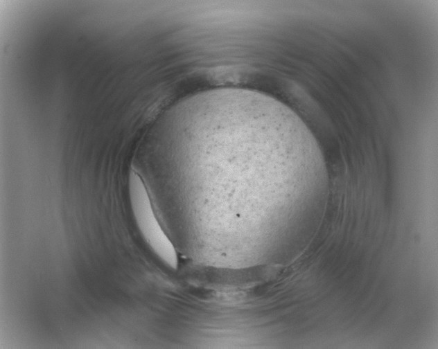 X0000063530125200602172253