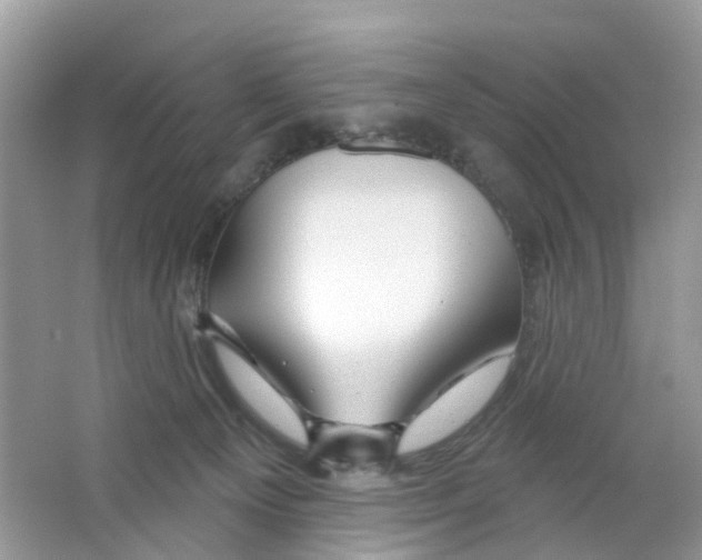 X0000063530129200602172253