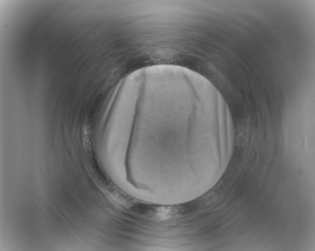 X0000063530130200602172253