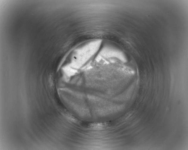 X0000063530131200602172253